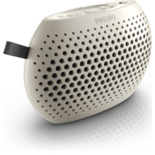 Portable speaker