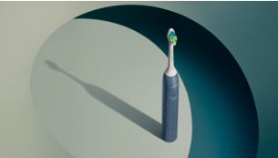 Guided brushing sessions
