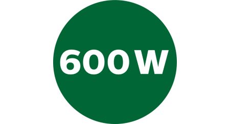 มอเตอร์ 600 วัตต์ ประสิทธิภาพสูง