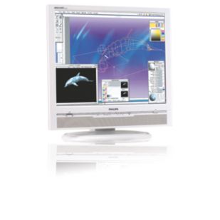 Brilliance 190P5EG LCD monitor