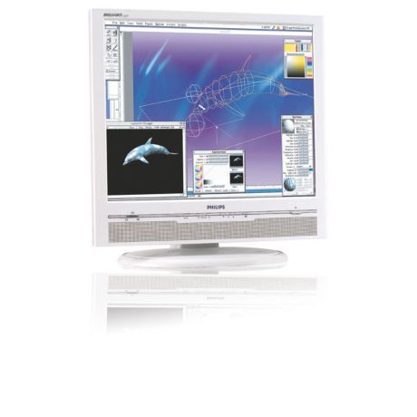 190P5EG/00 Brilliance LCD monitor