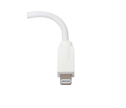 Lumify Flex Cable
