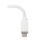 Lumify Flex Cable thumbnail