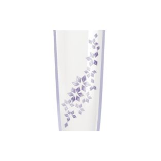 Satin Intimate Epilierer + Trimmer für d. Intimbereich