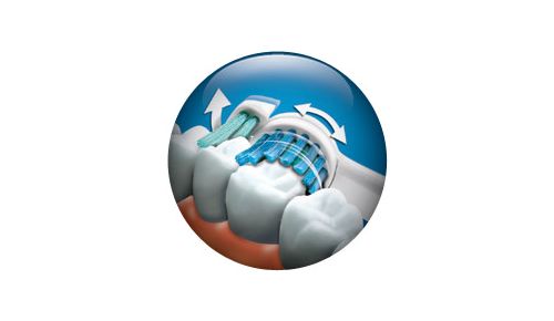 Pulisce le superfici esterne dei denti