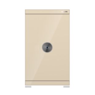 6000 Series Smart safe box