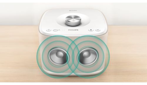 2 x 2,5 inch drivers met baspoort voor kamervullend geluid