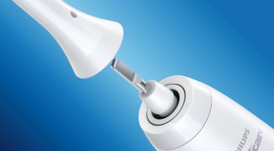 Tête de brosse clipsable