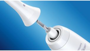 Works with any Philips Sonicare click-on toothbrush