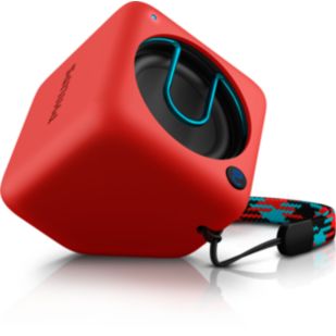 BT1300R wireless portable speaker