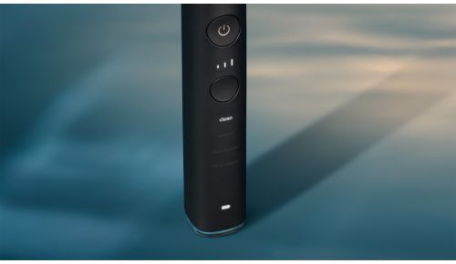 Vælg din ideelle børstning