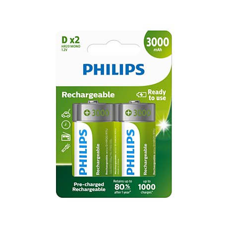 R20B2A300/10 Rechargeables Pilha
