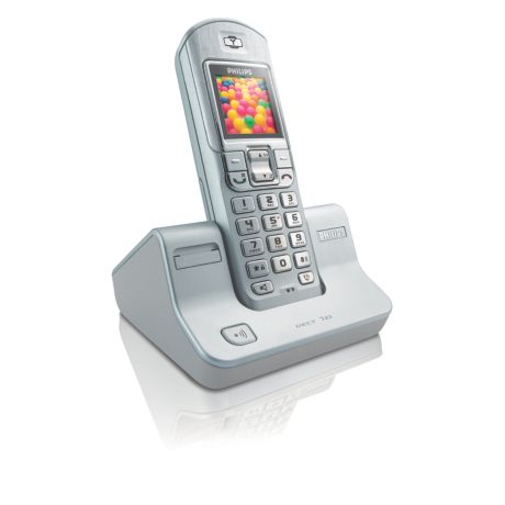 DECT7231S/02  Schnurlostelefon