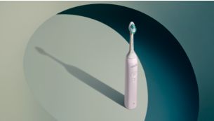 Guided brushing sessions