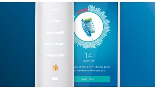 Holen Sie immer das Beste aus Ihrem Bürstenkopf