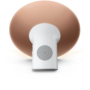 Wake-up Light