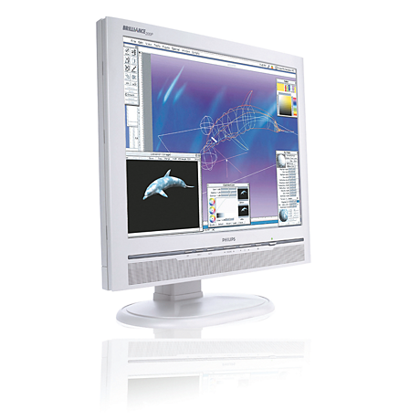 200P6IG/00 Brilliance Monitor LCD