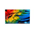 קישוריות חכמה יותר