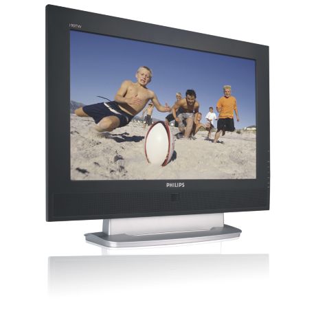 190TW8FB/00  Moniteur LCD écran large