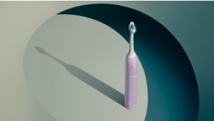 Guided brushing sessions