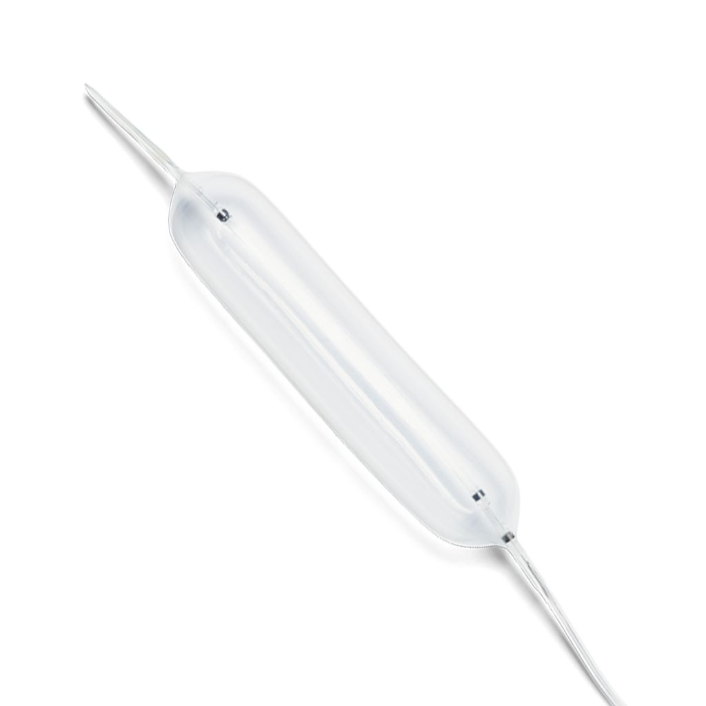 Picture Bridge Occlusion Balloon