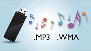 MP3/WMA-Musikwiedergabe direkt über Ihre tragbaren USB-Geräte