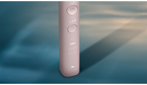 Wählen Sie Ihr ideales Putzerlebnis