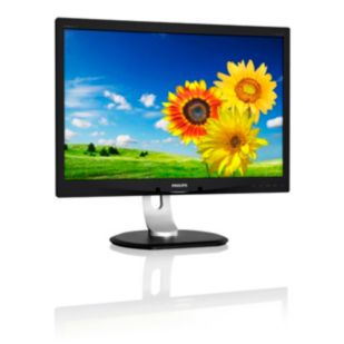 Brilliance 240P4QPYNB LCD monitor with PowerSensor