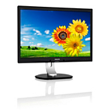 Brilliance 240P4QPYNB LCD monitor with PowerSensor