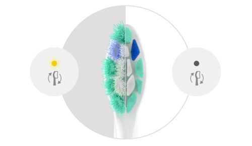 Keep brushing your best with BrushSync reminders