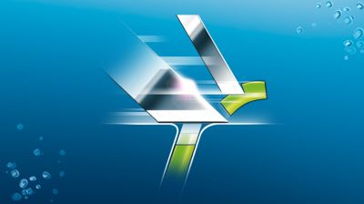 Maloniam ir švariam skutimui