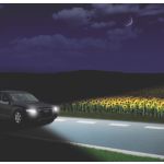 Feel safe, drive safe