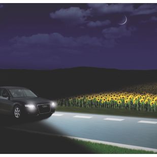 車ライトPHILIPSアルティノンフラッシュスタースーパーコートカラーバルブ他 フィリップス 自動車用ライト | Philips