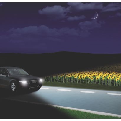 Feel safe, drive safe