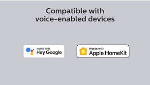 Works with popular voice assistants