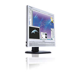Brilliance 170P6ES LCD monitor