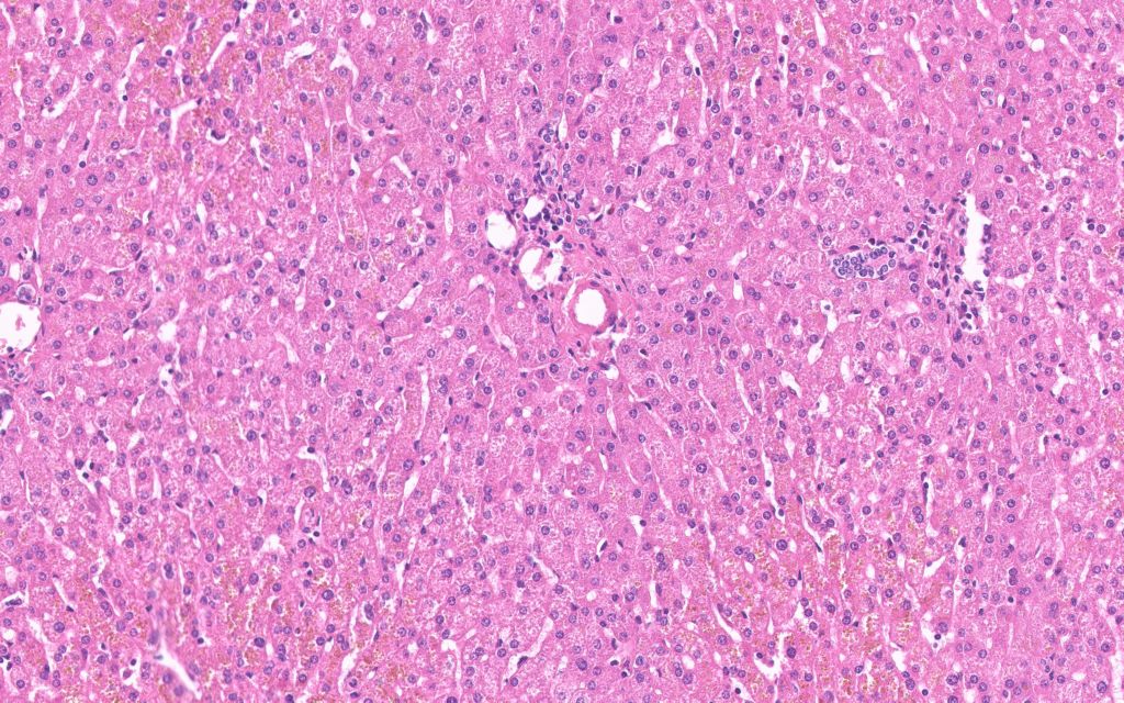 Clinical image digital pathology