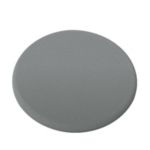 Zamjenski disk za rašpu za stopala