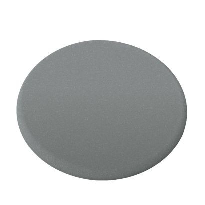 Zamjenski disk za rašpu za stopala