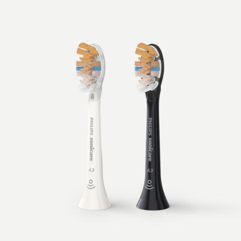 Two Premium All-in-One brush heads standing on a countertop
