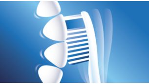 Tête de brosse inclinée pour un meilleur accès aux dents du fond