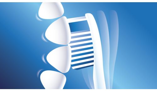 Angled brush head for better access to back teeth