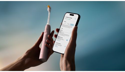 Wählen Sie Ihr ideales Putzerlebnis