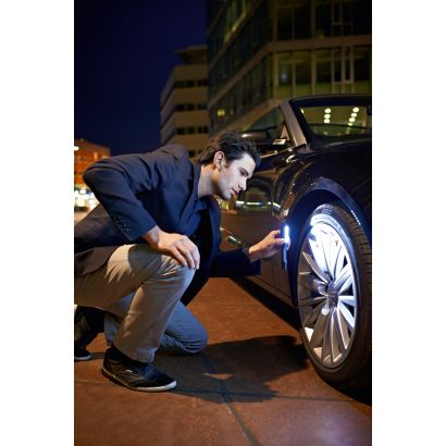 Philips LED Inspection lamps