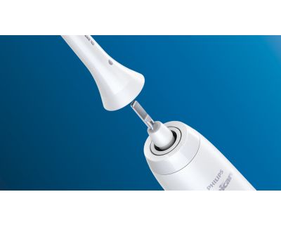 Click-on brush head system