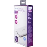 Dual USB battery pack
