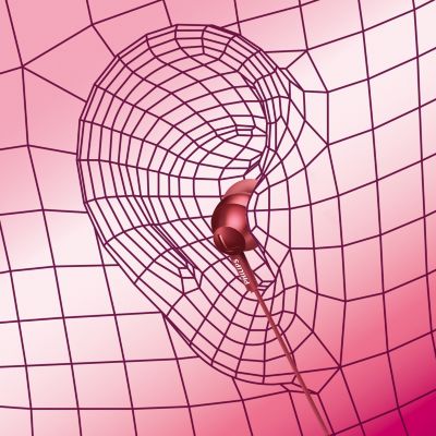 Oval sound tube insert provides ergonomic comfort fit