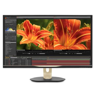 Brilliance MultiView 搭載 4K ウルトラ HD 液晶ディスプレイ