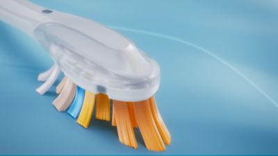 The bristle shape designed for your smile