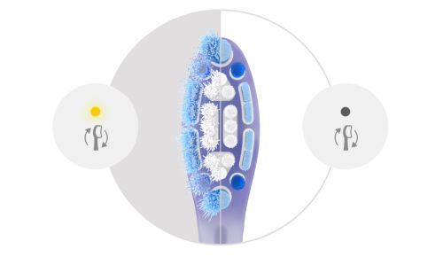 Fortsæt med at børste på den bedste måde med påmindelse om udskiftning af børstehovedet